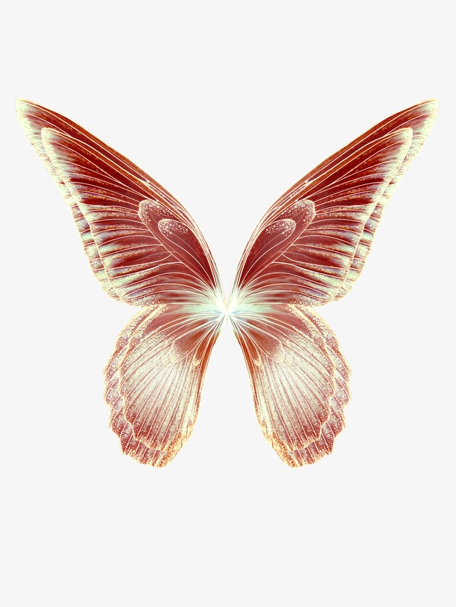 650x866 Vector Feather Paper Butterfly,fantasy Butterfly Wings, Butterfly