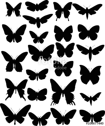 420x500 Set Of Twenty Four Black Butterfly Wings Shapes Stock Image And