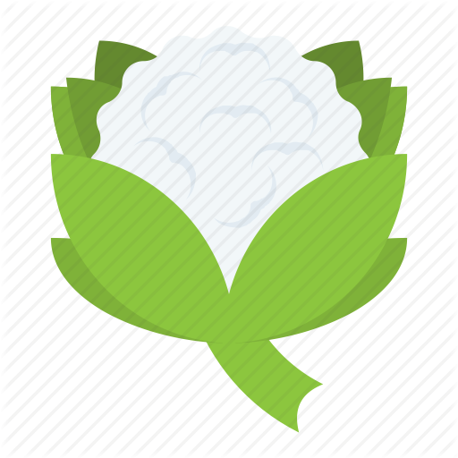 512x512 Cabbage Vector Flat ~ Frames ~ Illustrations ~ Hd Images ~ Photo