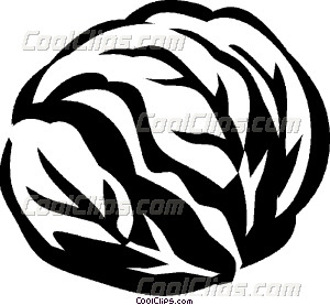 300x277 Cabbage Vector Clip Art