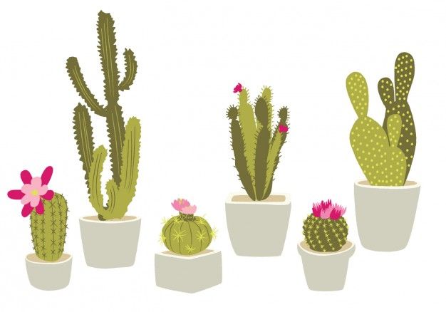 626x438 Cactus Vectors, Photos And Psd Files Free Download Journey In