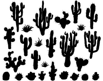 340x270 Cactus Vector Etsy