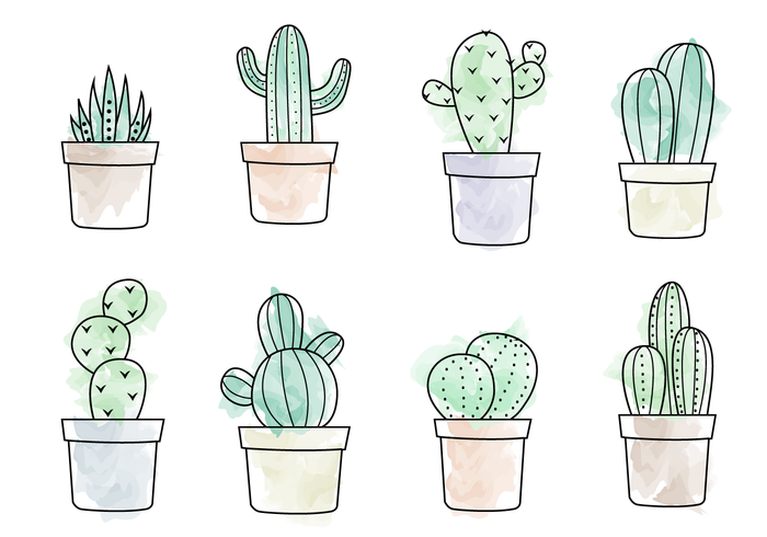 700x490 Free Watercolor Cactus Vector