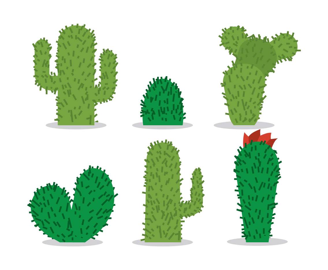 1136x936 Cactus Vector Vector Art Amp Graphics