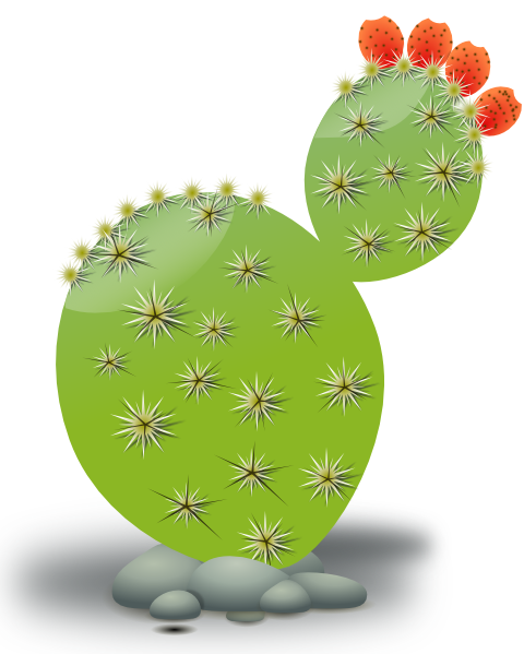 480x599 Cactus Clip Art Free Vector 4vector
