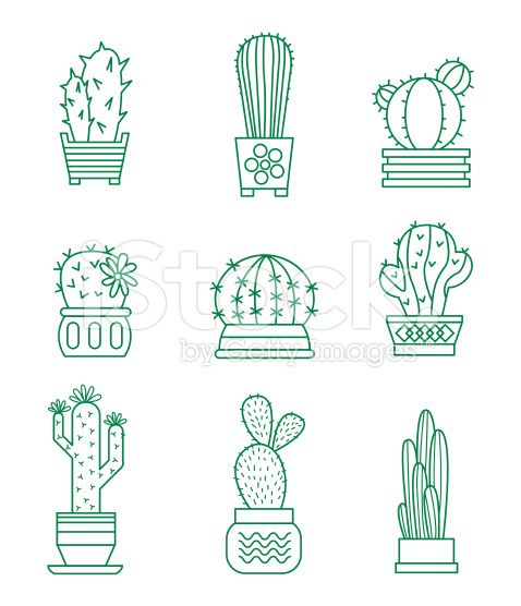 Cactus Vector Art at GetDrawings | Free download