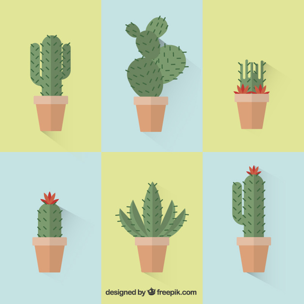 626x626 Collection Of Cactus Vector Free Download