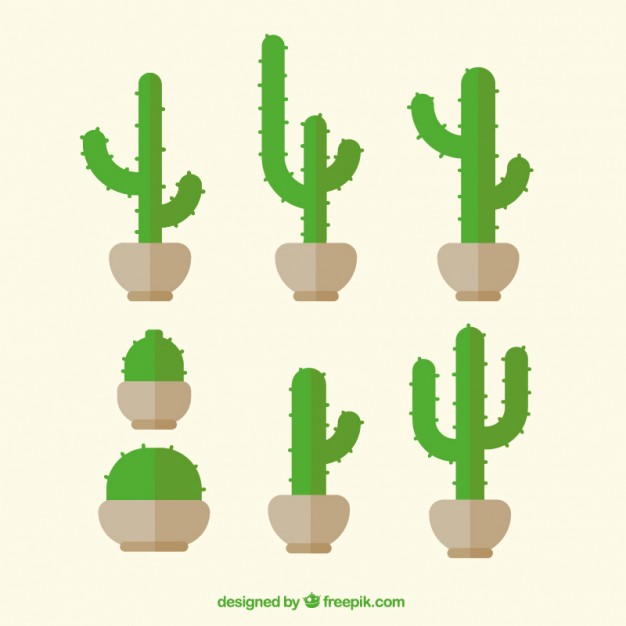 626x626 Green Cactus In Flat Design Vector Free Download