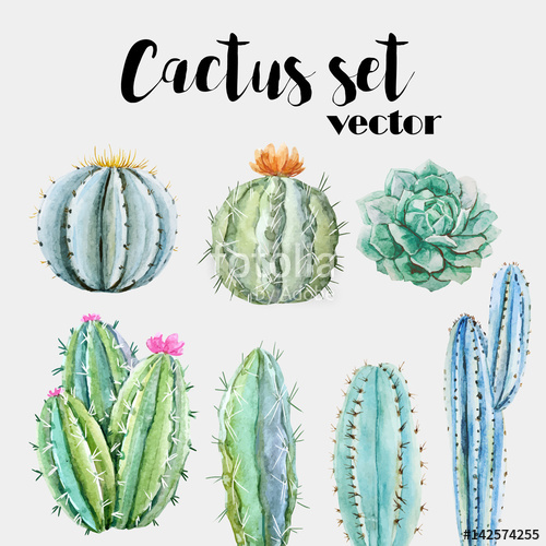 500x500 Watercolor Cactus Vector Set Stock Image And Royalty Free Vector