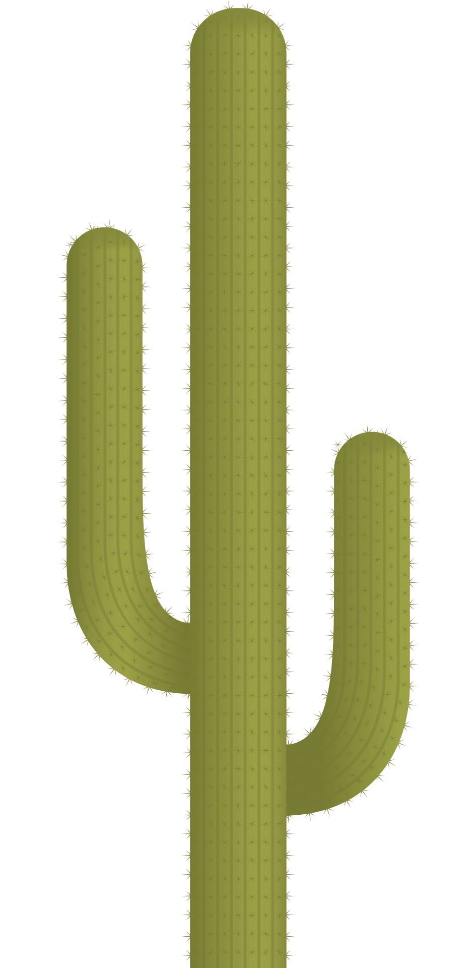 945x1920 Cactus Plant Vector Png Image