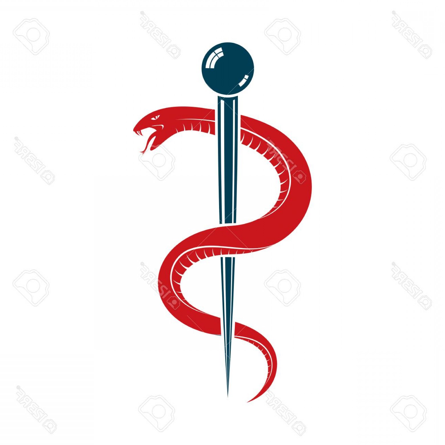 1560x1560 Photostock Vector Caduceus Symbol Made Using Poisonous Snakes