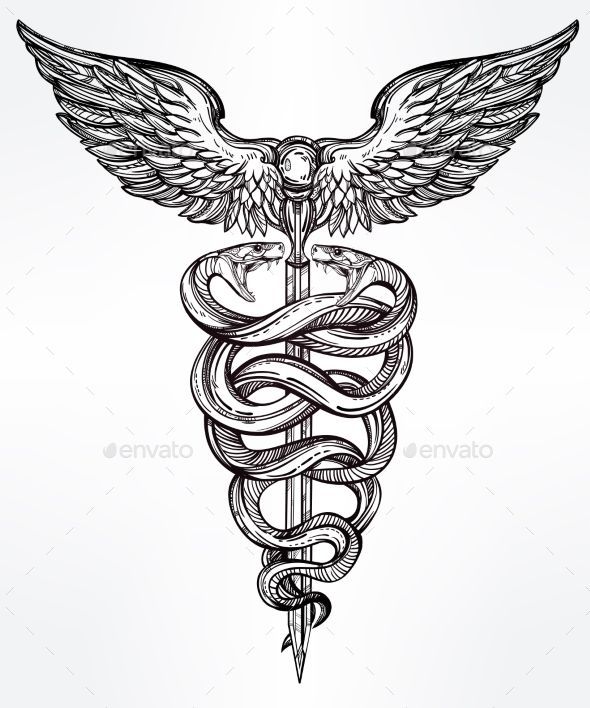 590x708 Caduceus Symbol Of God Mercury Illustration.
