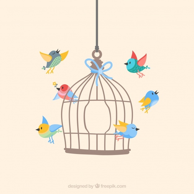 626x626 Cage Vectors, Photos And Psd Files Free Download
