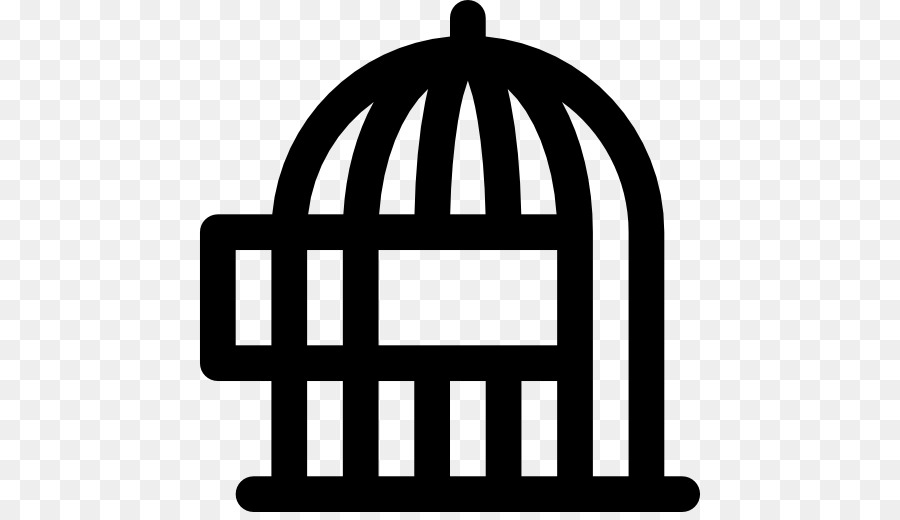 900x520 Domestic Canary Food Aviary Bird Cage