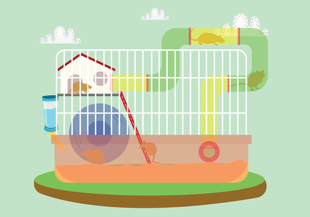 632x443 Gerbil In The Cage Vector Art Free Vector Download 445007 Cannypic