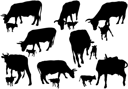 500x350 Collection Of Free Cow Svg Calf Vector. Download On Ubisafe