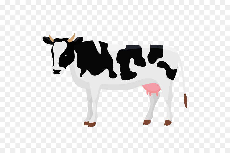 900x600 Dairy Cattle Calf Vector Graphics Illustration Clip Art