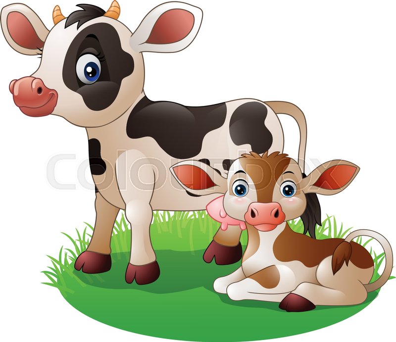 800x691 Illustration Of Cartoon Cow With Newborn Calf Stock Vector
