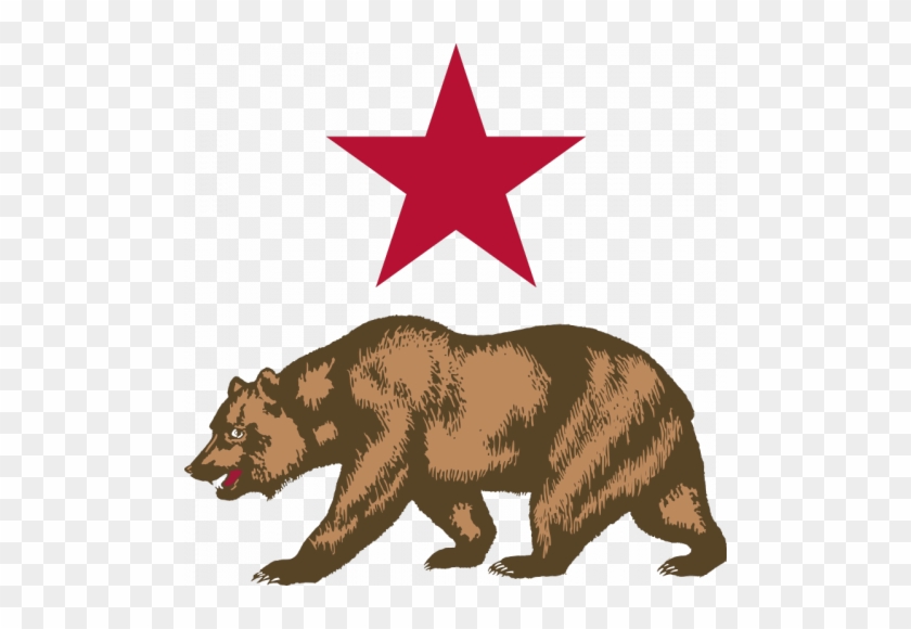 840x580 Vector Image Of Bear And Star