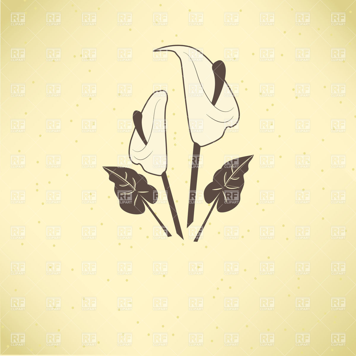 1200x1200 Calla Lilies Simple Drawing Vector Image Vector Artwork Of