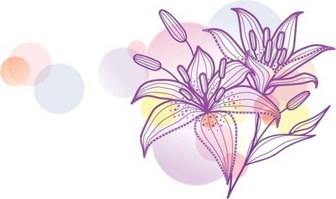 487x288 Calla Lily Vector Free Vector Download (161 Free Vector) For