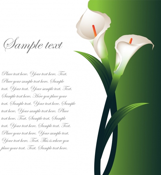 551x600 Calla Vector Free Vector In Encapsulated Postscript Eps ( .eps