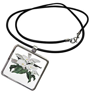 395x395 3drose Taiche