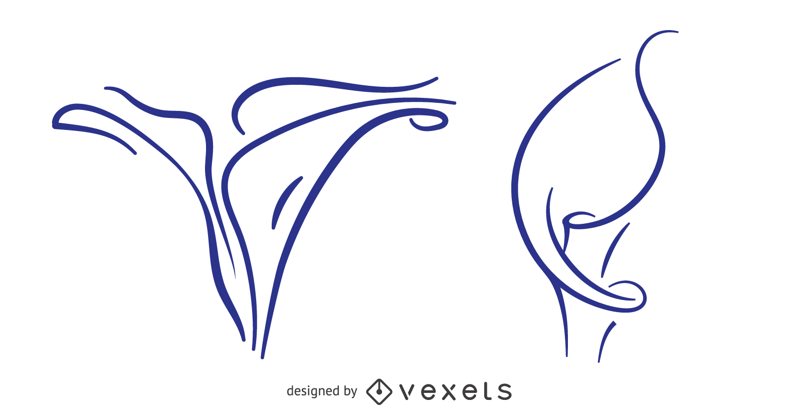 1600x835 Free Calla Lily Vector