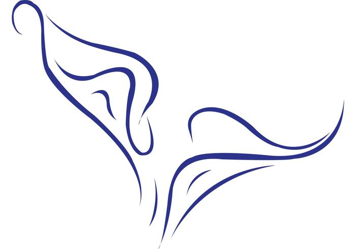 700x490 Free Calla Lily Vector