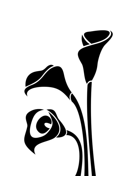 525x700 Black Silhouettes Of Calla Lilies. Vector Illustration. Wall Mural