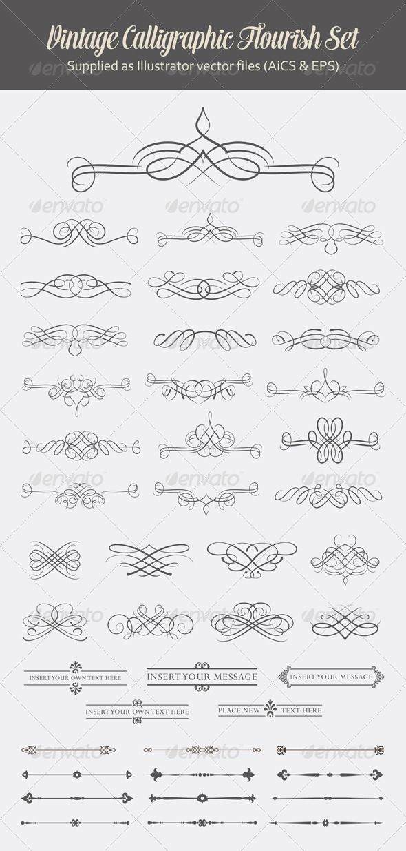 590x1235 Decorative Calligraphic Flourishes