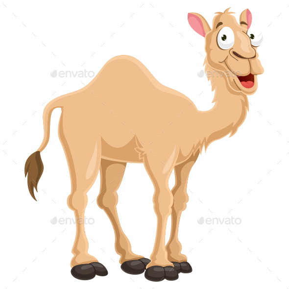 590x590 Camel Vector Illustration By Yusufdemirci Graphicriver