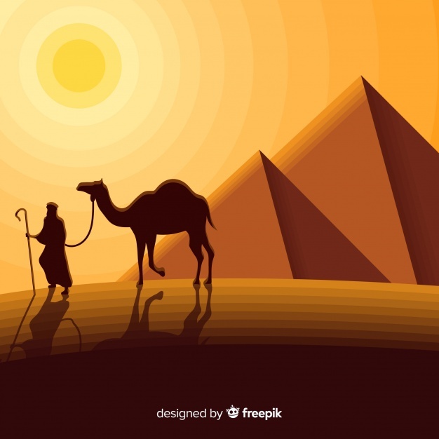 626x626 Camel Vectors, Photos And Psd Files Free Download