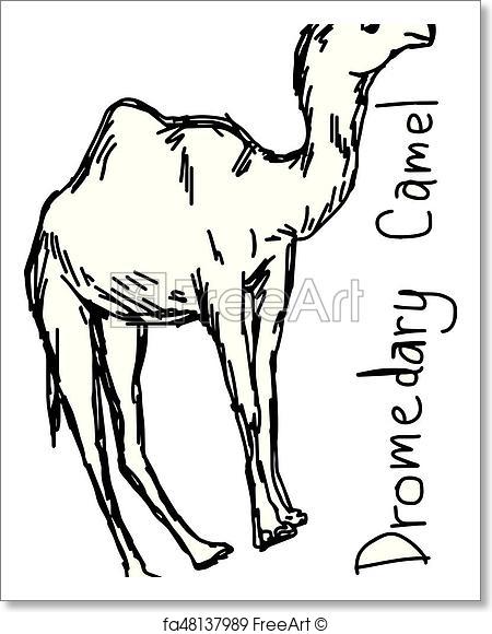 450x580 Free Art Print Of Dromedary Camel