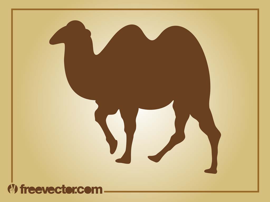 1024x765 Vector Camel Vector Art Amp Graphics