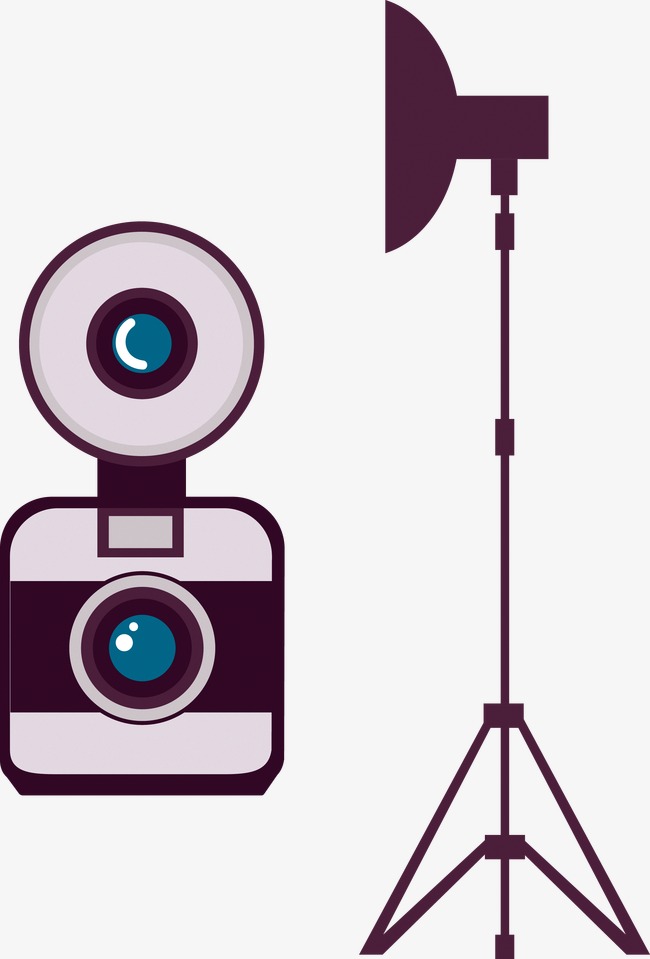 650x959 Camera Flash, Camera Vector, Flash Vector, Digital Png And Vector