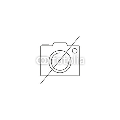 400x400 No Photography Line Icon, Forbidden To Use Camera Outline Vector
