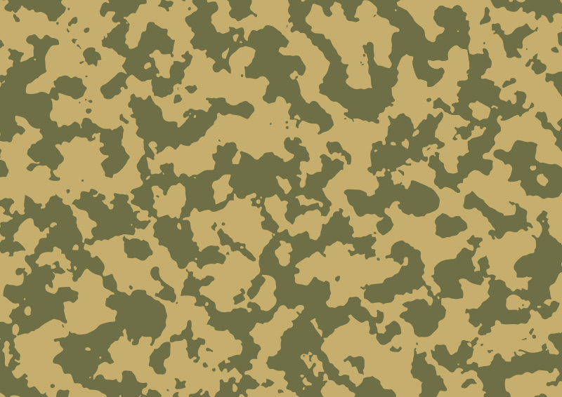 800x566 Camouflage Vector