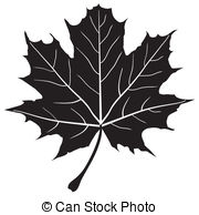 180x194 Drawn Maple Leaf Vector