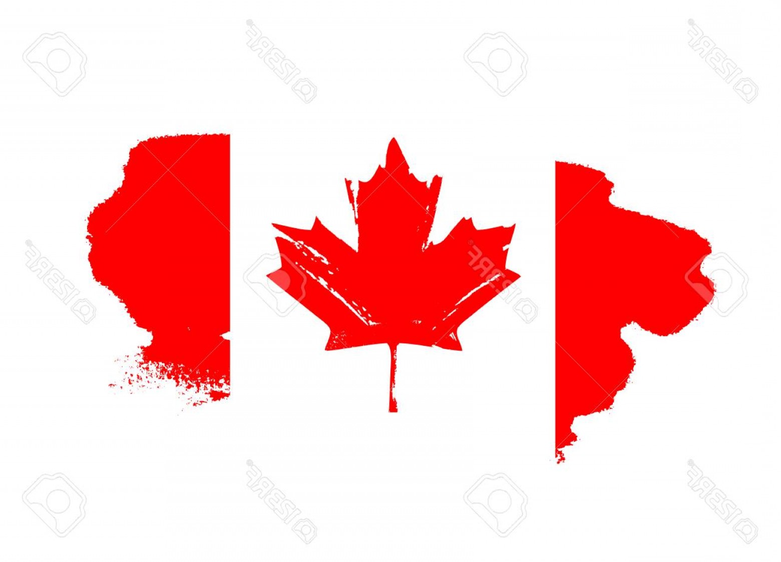 1560x1123 Maple Leaf Vector Sohadacouri