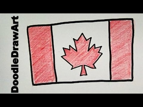 480x360 Drawn Maple Leaf Vector
