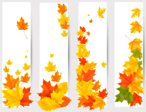 469x359 Maple Leaf Free Vector Download (4,138 Free Vector) For Commercial