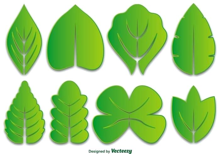 700x490 Stunning Leaf Vector Marvellous