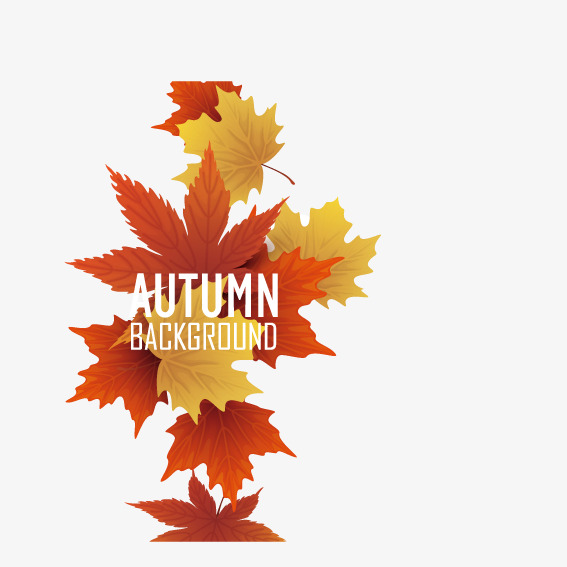 567x567 Canadian Maple Leaf Flag, Leaf Vector, Flag Vector, Mark Png And