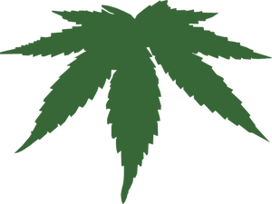 Cannabis Plant Vector
