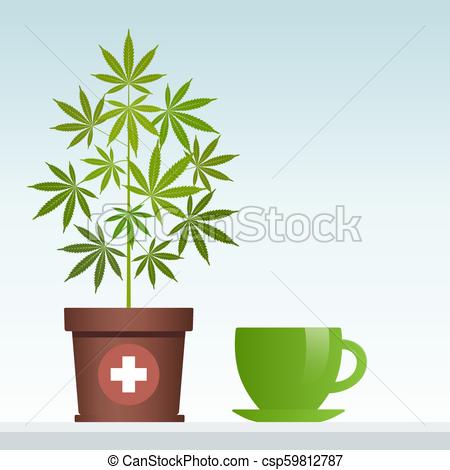 450x470 Cannabis Herbal Tea And Marijuana Plant. Isolated Vector Illustration.