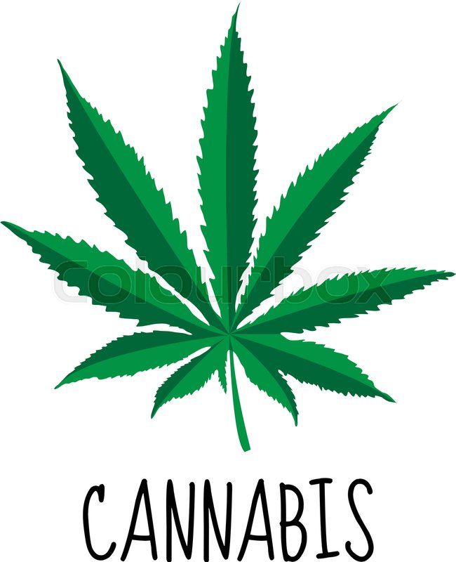 650x800 Cannabis Leaf. Marijuana Herb. Drug Plant. Vector Illustration