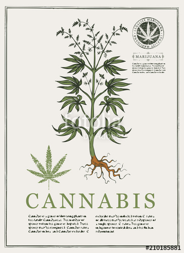 364x500 Hand Drawn Botanical Vector Illustration In Retro Style With