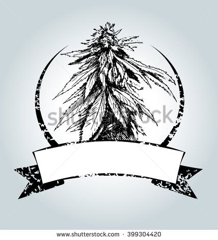 428x470 Marijuana Plant Vector Stock Photos, Images, Amp Pictures