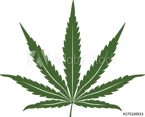 500x404 Marijuana Leaf. Medical Cannabis. Plant. Vector Illustration